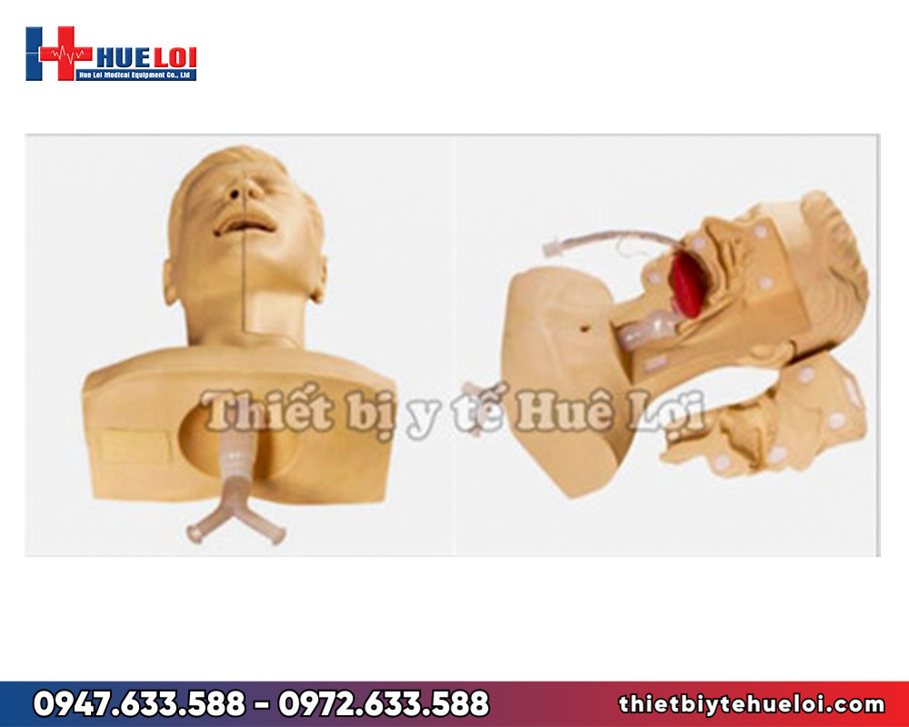 Mô hình thực hành hút đờm dãi đường hô hấp